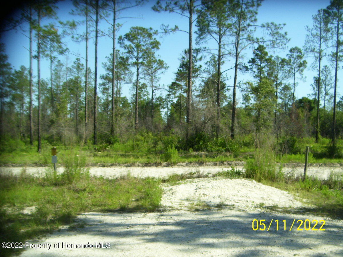 2 Greenback Road Homosassa, FL 34446 - Photo 3 of 6