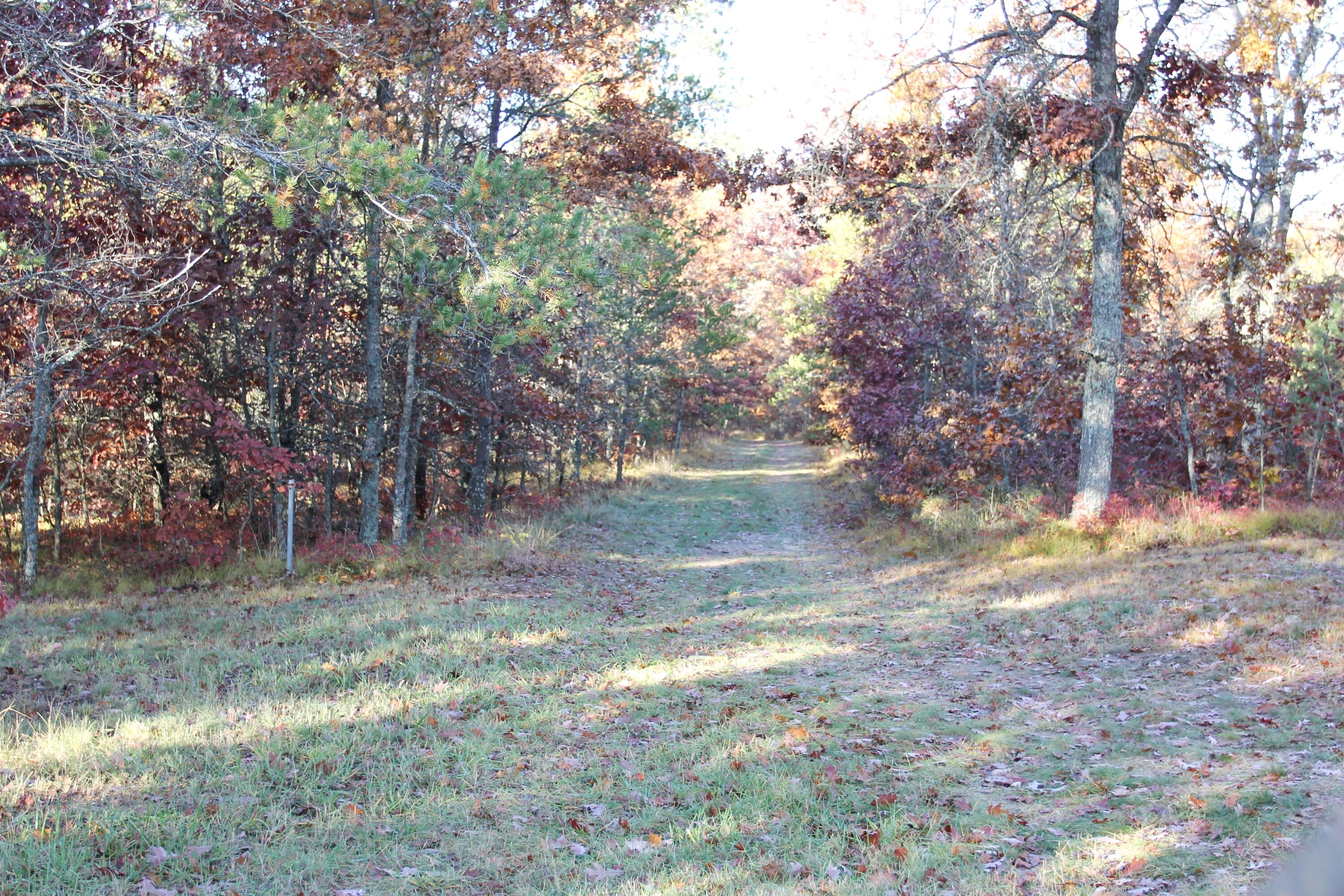 4562 South Staley Lake Road Grayling, MI 49738 - Photo 38 of 43 Gallery Image 38