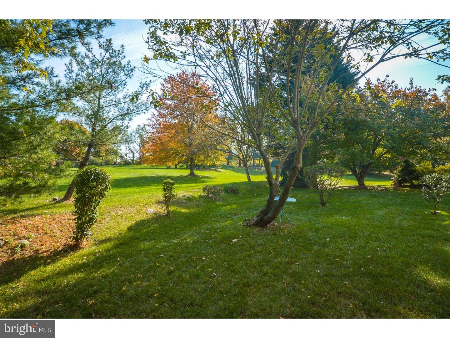1681 Whitehouse Road Ambler, PA 19002 - Photo 3 of 25 Back Yard