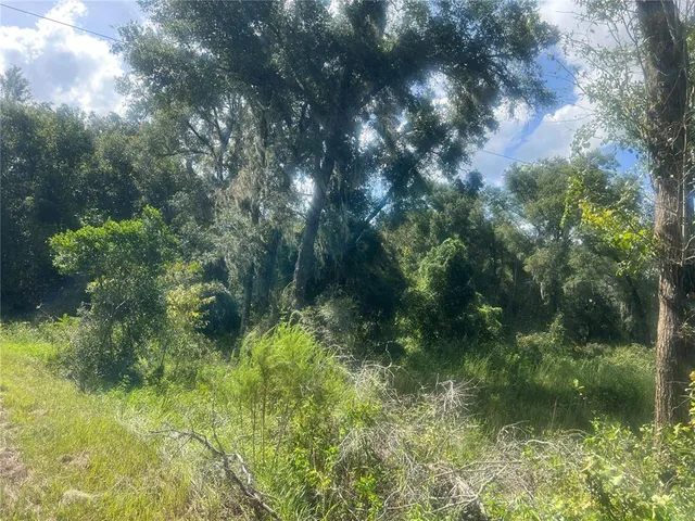 a view of a green yard