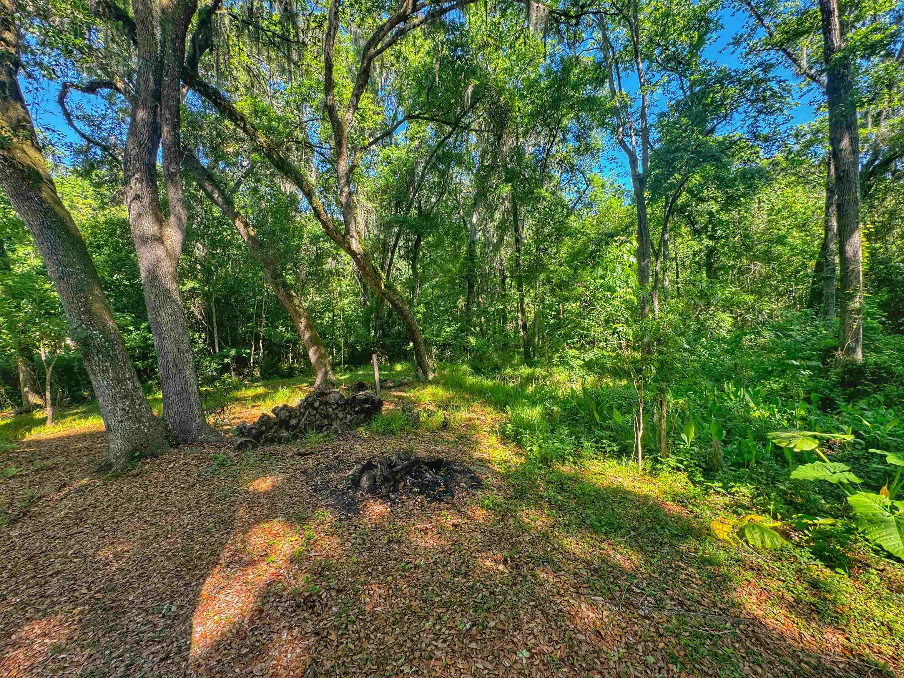 5872 Pine Creek Drive St. Augustine, FL 32092 - Photo 22 of 26 a view of a backyard with swimming pool