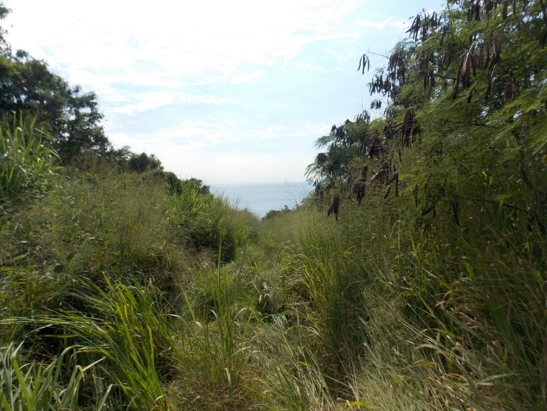 Hawaii Belt Road Captain Cook, HI 96704 - Photo 3 of 9 Gallery Image 3