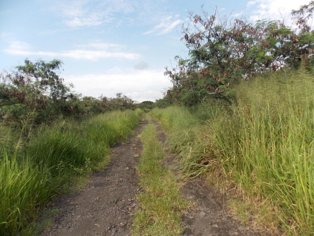 Hawaii Belt Road Captain Cook, HI 96704 - Photo 6 of 9 Gallery Image 6