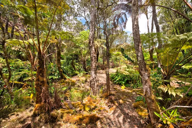 a backyard of a building