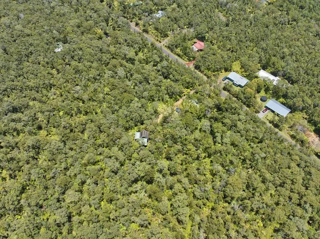 a view of a tree in a field