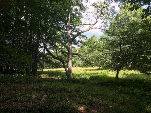 Lot 21 Deer Ridge Davis, WV 26260 - Photo 5 of 16 Gallery Image 5
