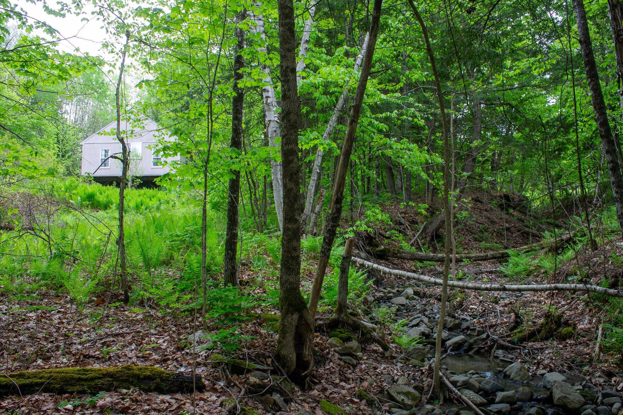 128 Beckwith Road Cornville, ME 04976 - Photo 6 of 20 IMG_0989