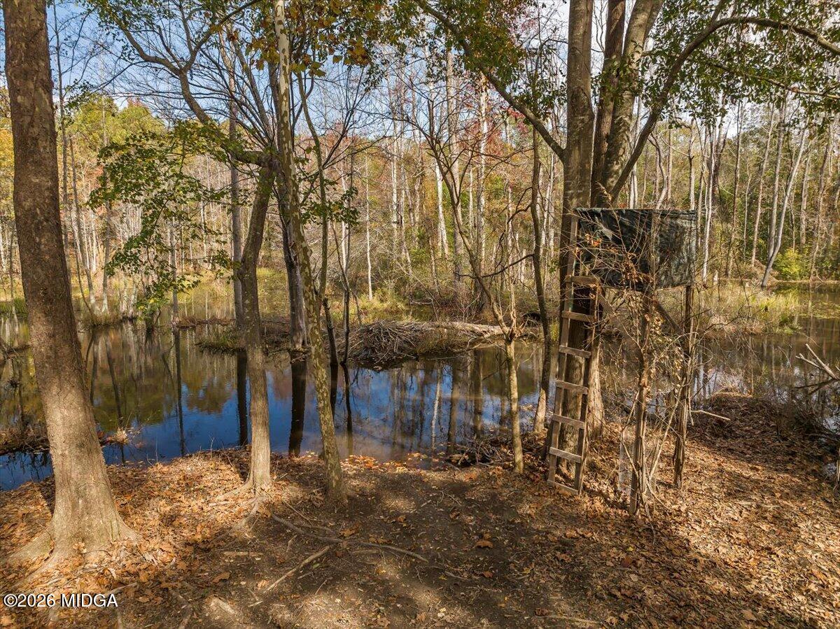 4565 Sardis Church Road Macon, GA 31216 - Photo 67 of 69 062-4565 sardis church rd (57)