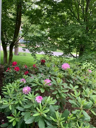 $1,150,000 | 11 Longmeadow Way, Acton, MA 01720