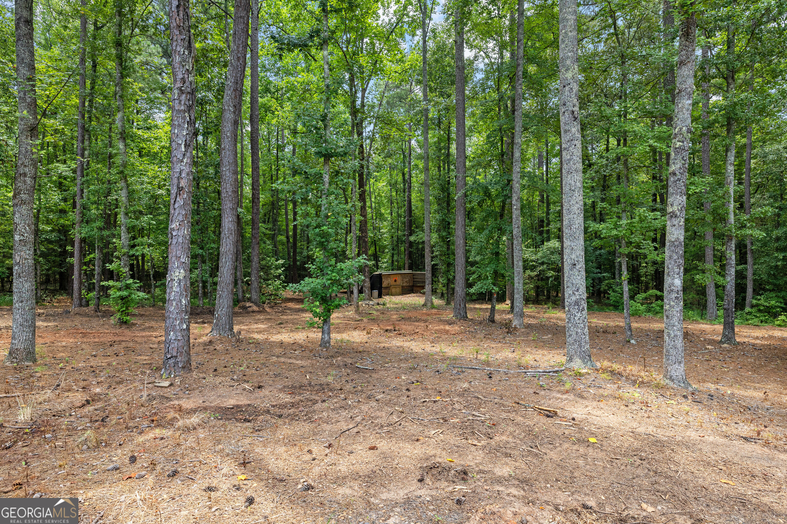 359 Trammell Road Moreland, GA 30259 - Photo 106 of 137 Gallery Image 106