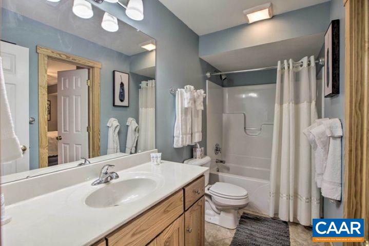 280 Fawn Ridge Drive Wintergreen, VA 22967 - Photo 22 of 23 a bathroom with a sink a toilet and shower