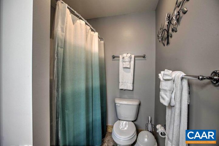 280 Fawn Ridge Drive Wintergreen, VA 22967 - Photo 23 of 23 a bathroom with a toilet and a shower curtain