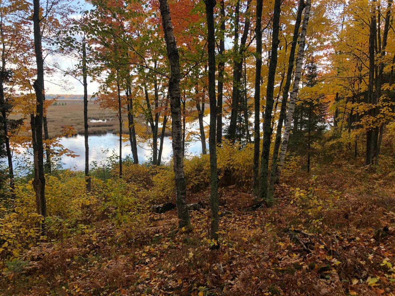 Acreage Yocum Road Crandon, WI 54520 - Photo 16 of 20 Gallery Image 16
