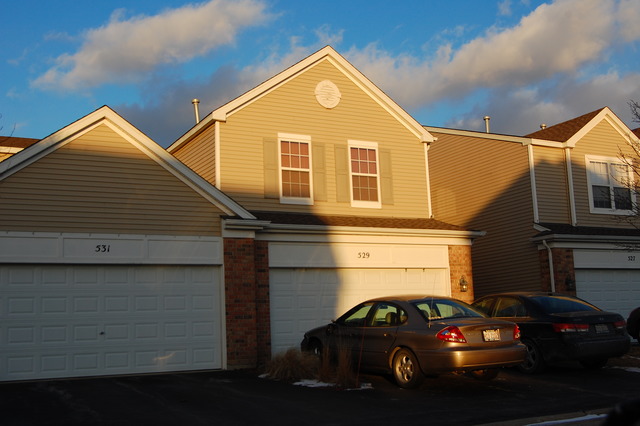 529 Springbrook Trail North Oswego, IL 60543 - Photo 1 of 9