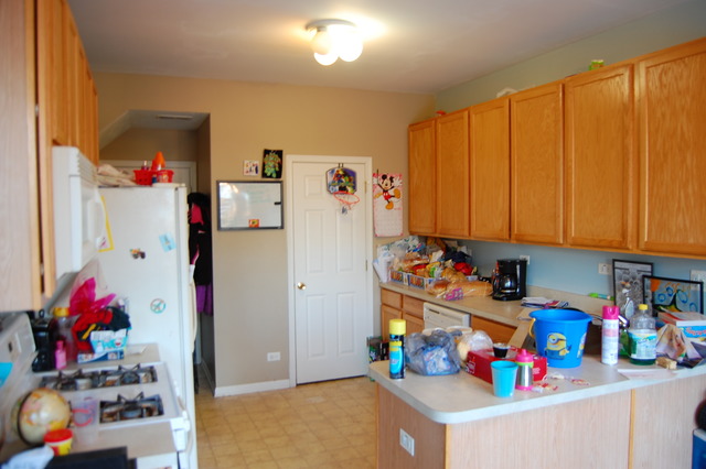 529 Springbrook Trail North Oswego, IL 60543 - Photo 2 of 9