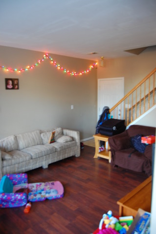 529 Springbrook Trail North Oswego, IL 60543 - Photo 3 of 9