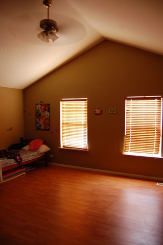 529 Springbrook Trail North Oswego, IL 60543 - Photo 4 of 9