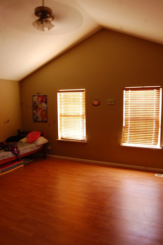 529 Springbrook Trail North Oswego, IL 60543 - Photo 5 of 9