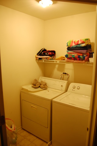 529 Springbrook Trail North Oswego, IL 60543 - Photo 6 of 9