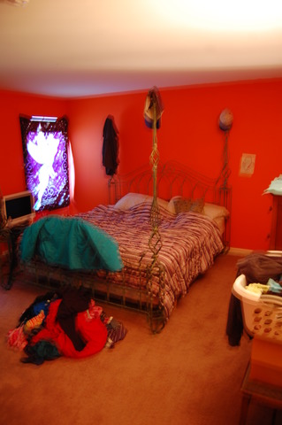 529 Springbrook Trail North Oswego, IL 60543 - Photo 7 of 9