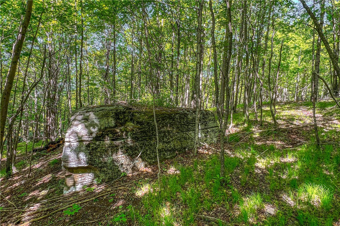 26 Federal Hill Road Delhi, NY 13753 - Photo 27 of 50