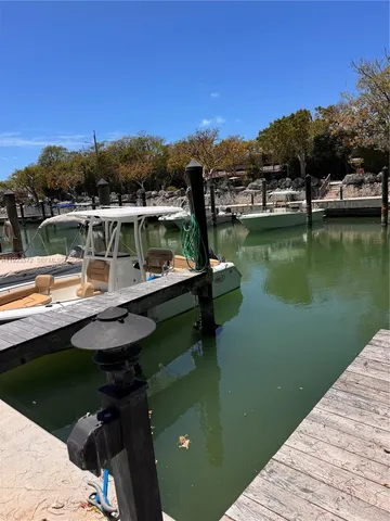 a view of a lake with a mountain