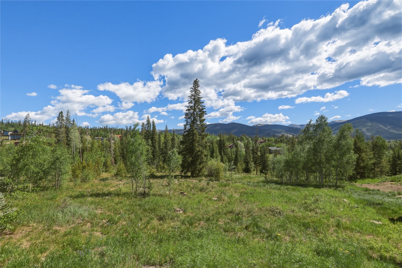 6726 Ryan Gulch Road, Unit 6726 Wildernest, CO 80498 - Photo 22 of 39 a view of a city with lush green forest