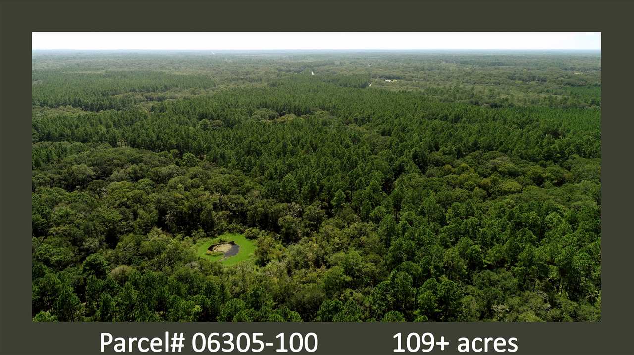 2089 Ma Dixon Road Perry, FL 32348 - Photo 1 of 10 Gallery Image 1