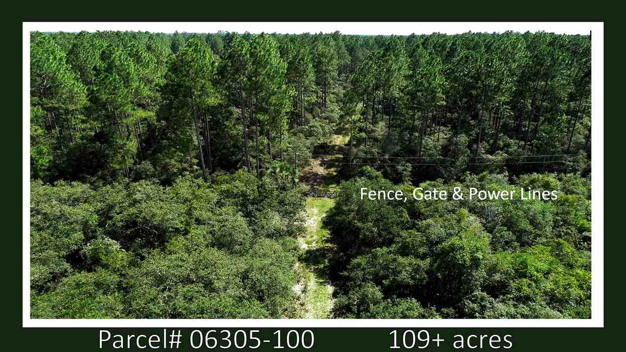 2089 Ma Dixon Road Perry, FL 32348 - Photo 3 of 10 Gallery Image 3
