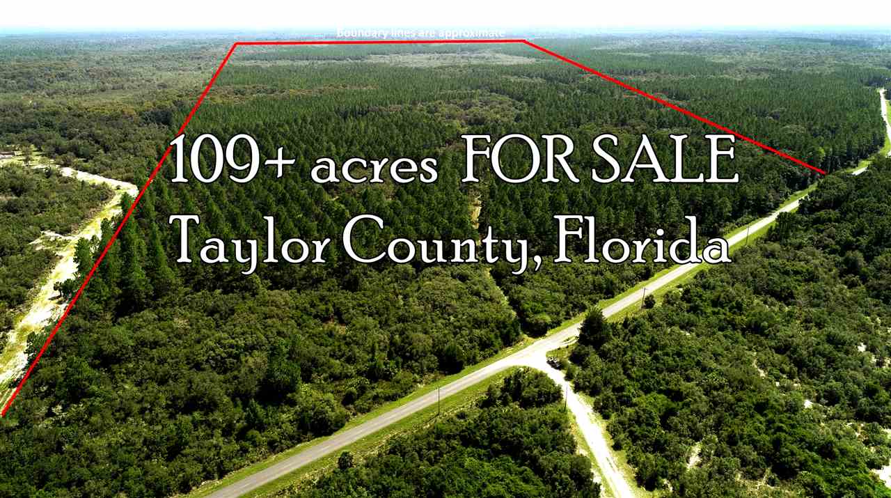 2089 Ma Dixon Road Perry, FL 32348 - Photo 8 of 10 Gallery Image 8