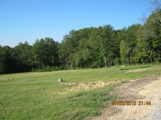 226 Wiley Prigmore Lane Decatur, TN 37322 - Photo 8 of 12 Additional Photo