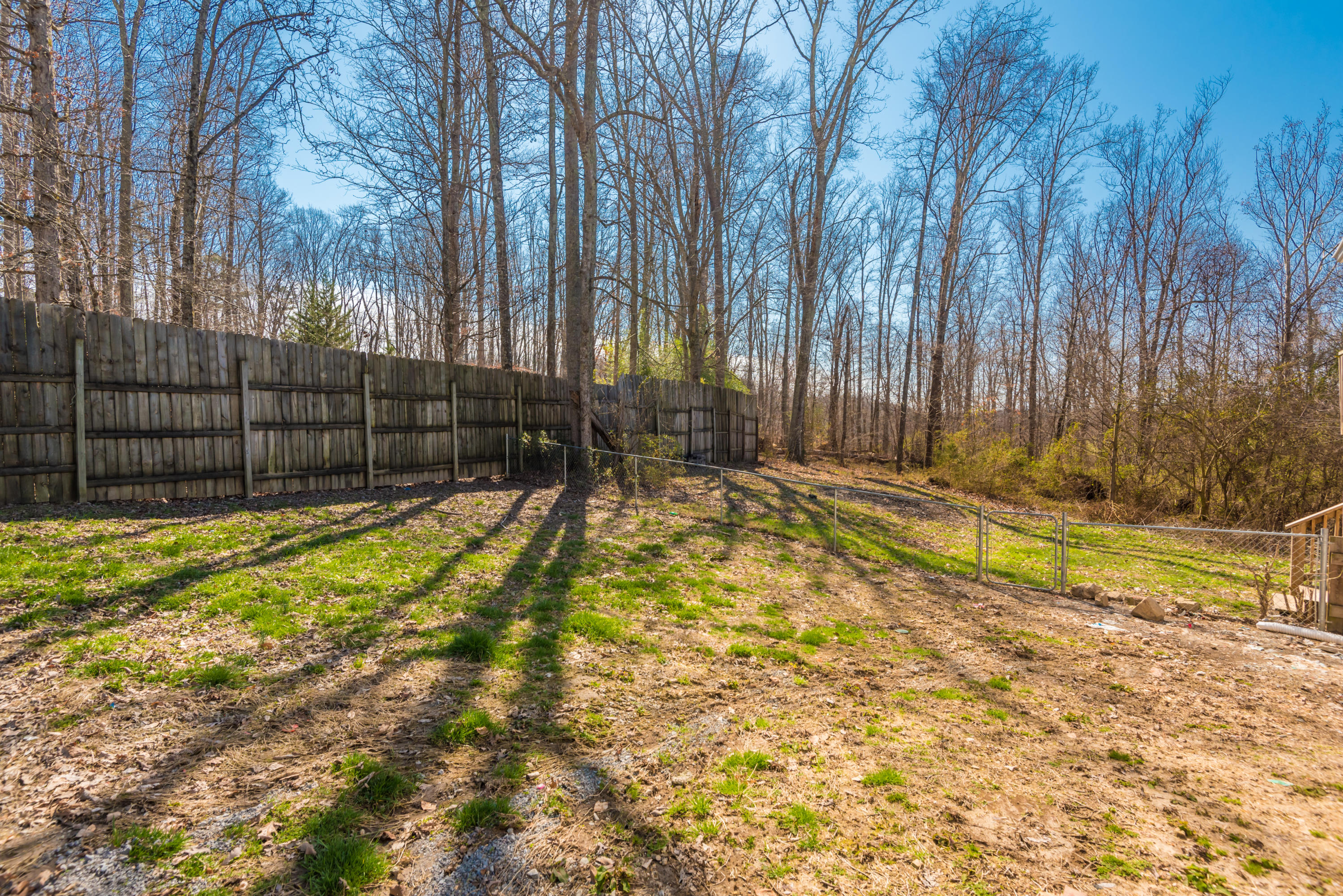 8513 Coppock Road Corryton, TN 37721 - Photo 26 of 31 8513CoppockRd-43