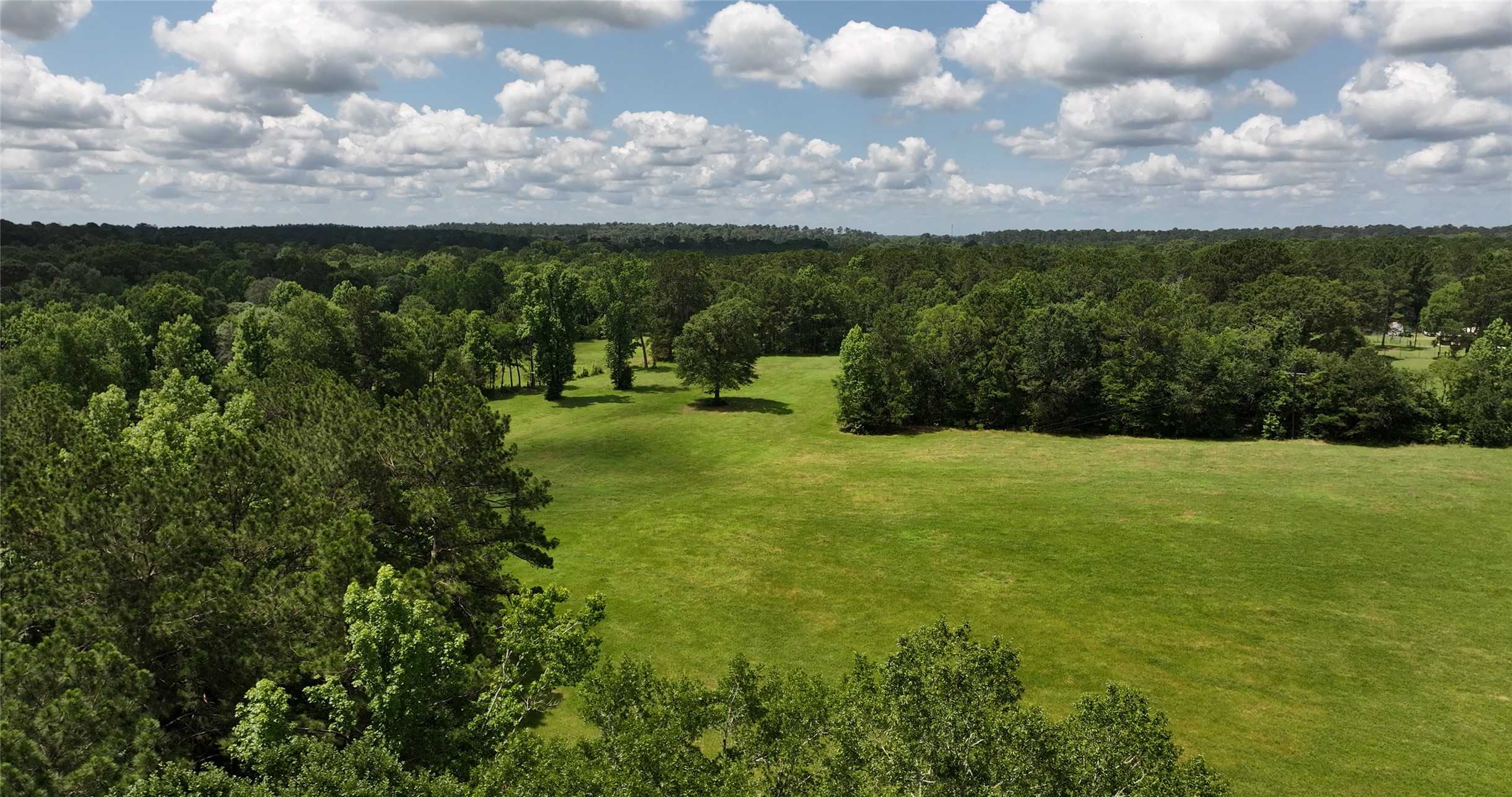 162 Lloyd James Road Groveton, TX 75845 - Photo 41 of 41