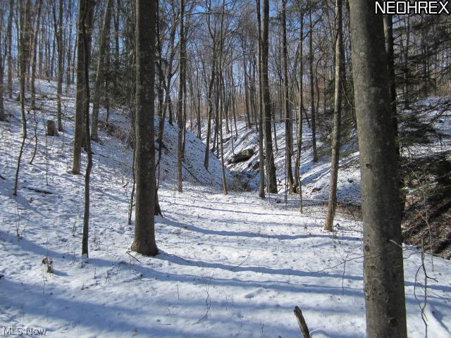 2885 Slack Road Mount Perry, OH 43760 - Photo 17 of 25