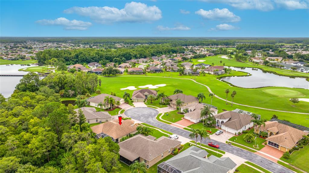 11421 Strathaven Court Trinity, FL 34655 - Photo 71 of 91 Gallery Image 71