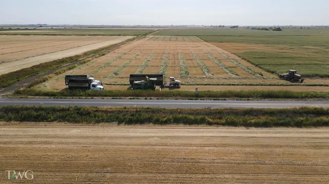 $4,023,000 | 0 Hogan Drive, Turlock, CA 95380