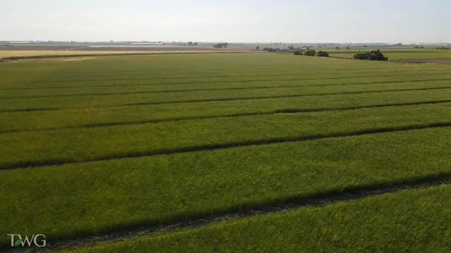 $4,023,000 | 0 Hogan Drive, Turlock, CA 95380