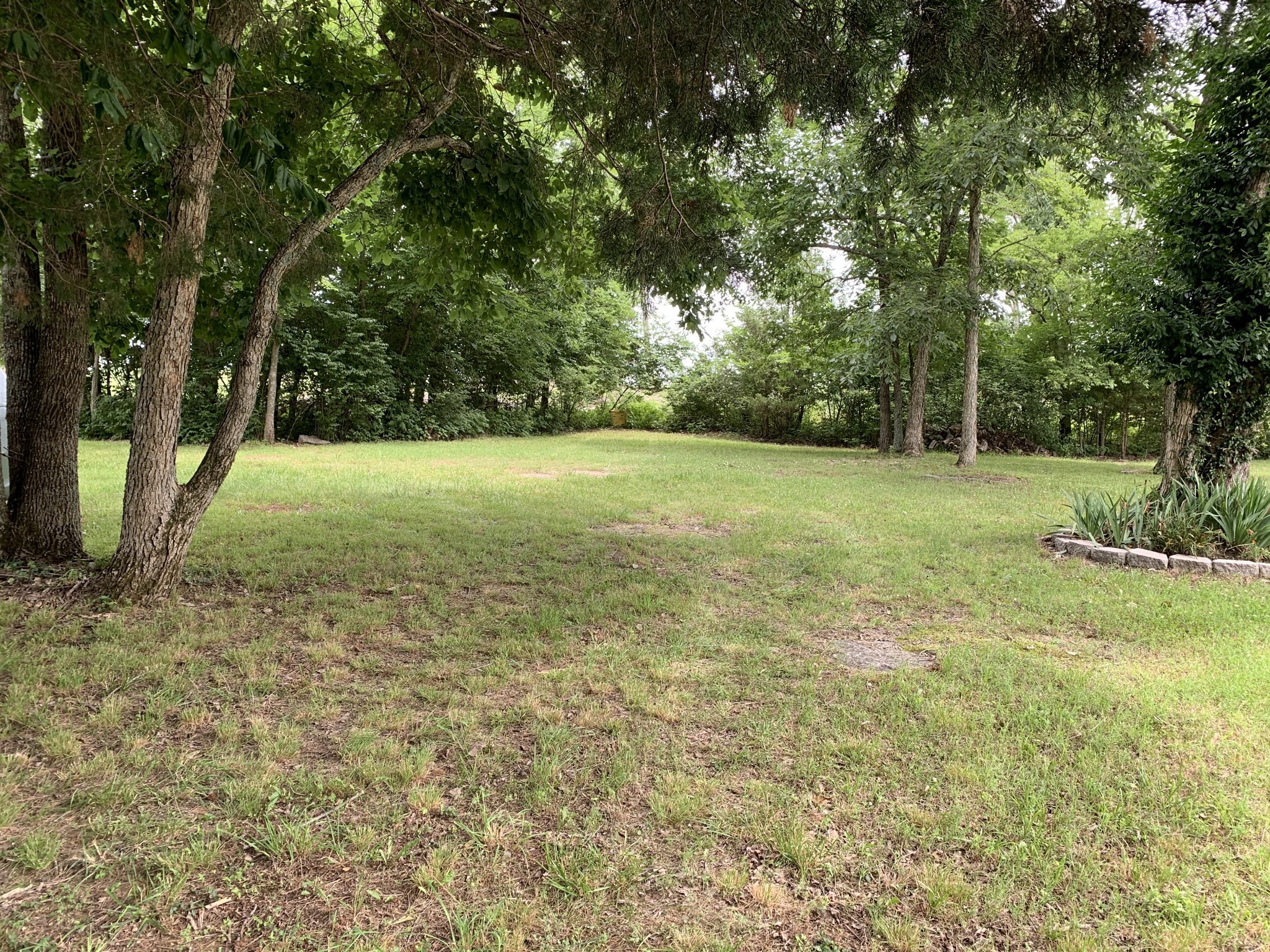 773 Curd Road Mount Juliet, TN 37122 - Photo 19 of 25 a view of a field with trees in the background
