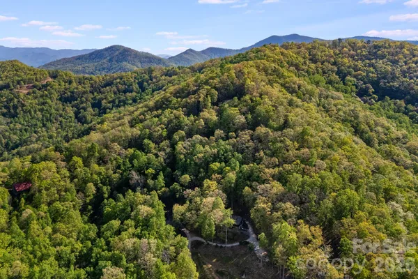 a view of a lush green mountain