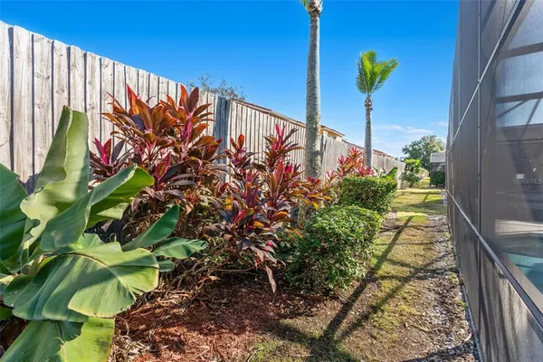 a view of a potted plants next to a wall