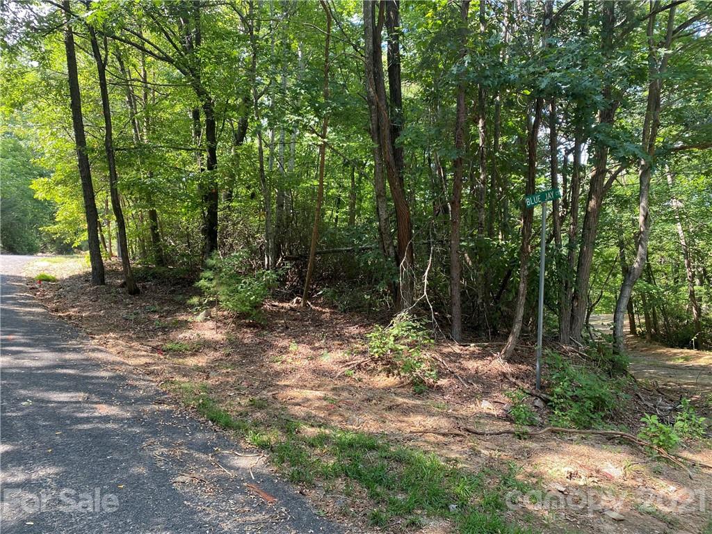 261 Quail Ridge Road Lake Lure, NC 28746 - Photo 1 of 3 Gallery Image 1