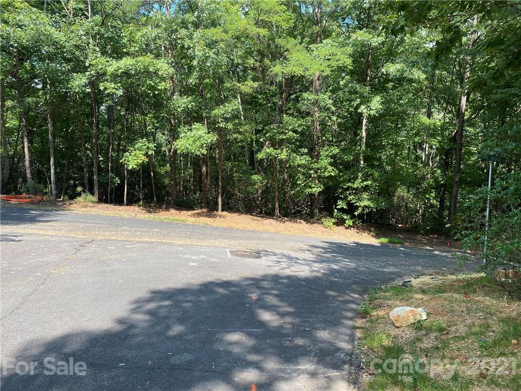 261 Quail Ridge Road Lake Lure, NC 28746 - Photo 2 of 3 Gallery Image 2