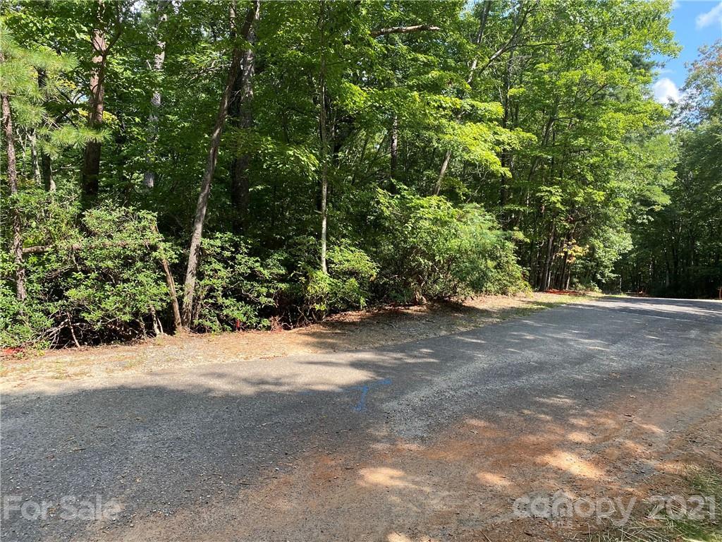 261 Quail Ridge Road Lake Lure, NC 28746 - Photo 3 of 3 Gallery Image 3