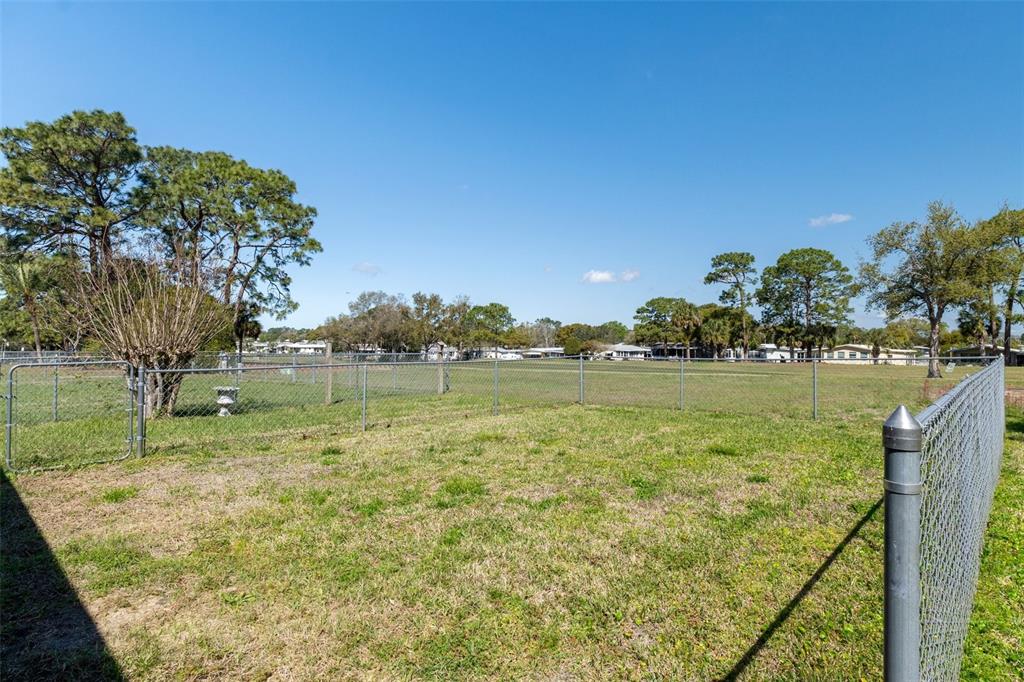 14751 Brookridge Boulevard Brooksville, FL 34613 - Photo 39 of 61