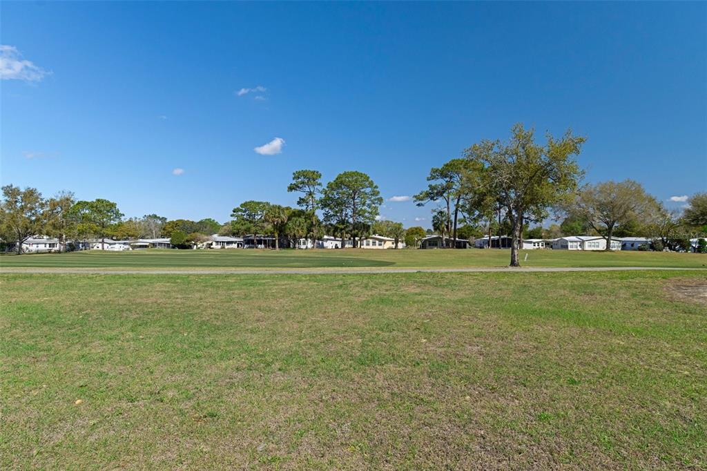 14751 Brookridge Boulevard Brooksville, FL 34613 - Photo 42 of 61 a view of a field with grass and trees