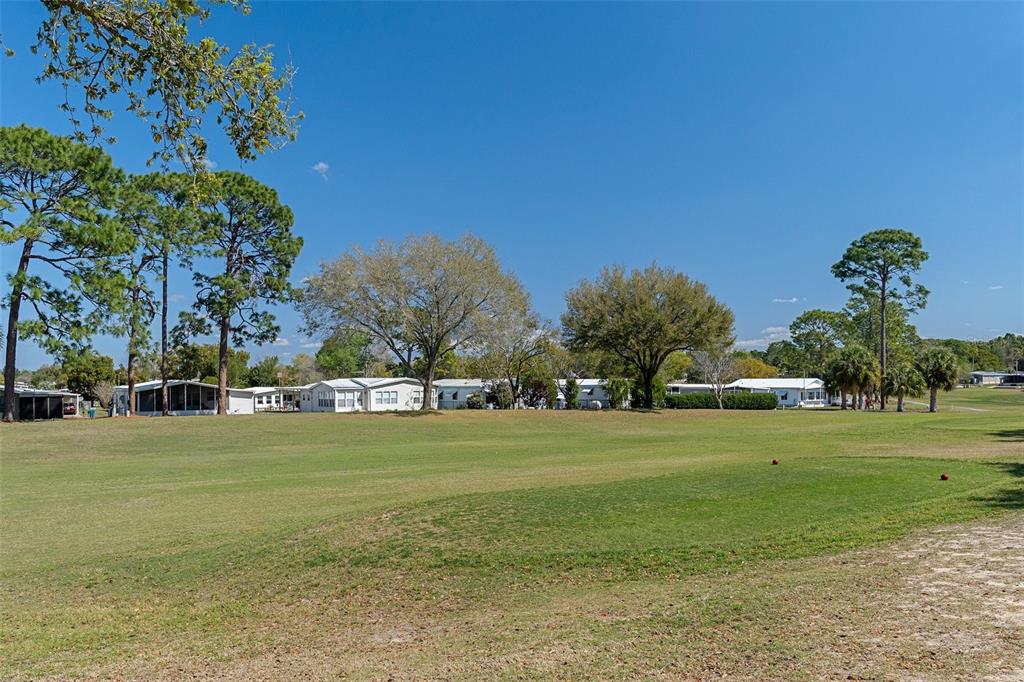 14751 Brookridge Boulevard Brooksville, FL 34613 - Photo 43 of 61 a view of a field with a big yard