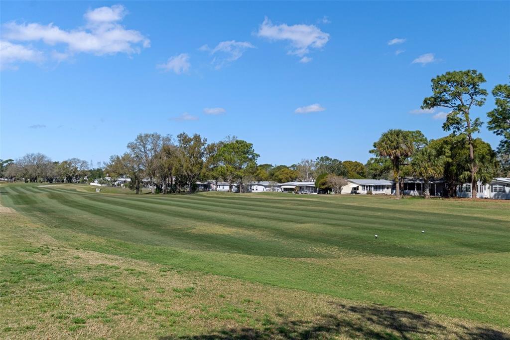 14751 Brookridge Boulevard Brooksville, FL 34613 - Photo 44 of 61 a view of a golf course with a lake