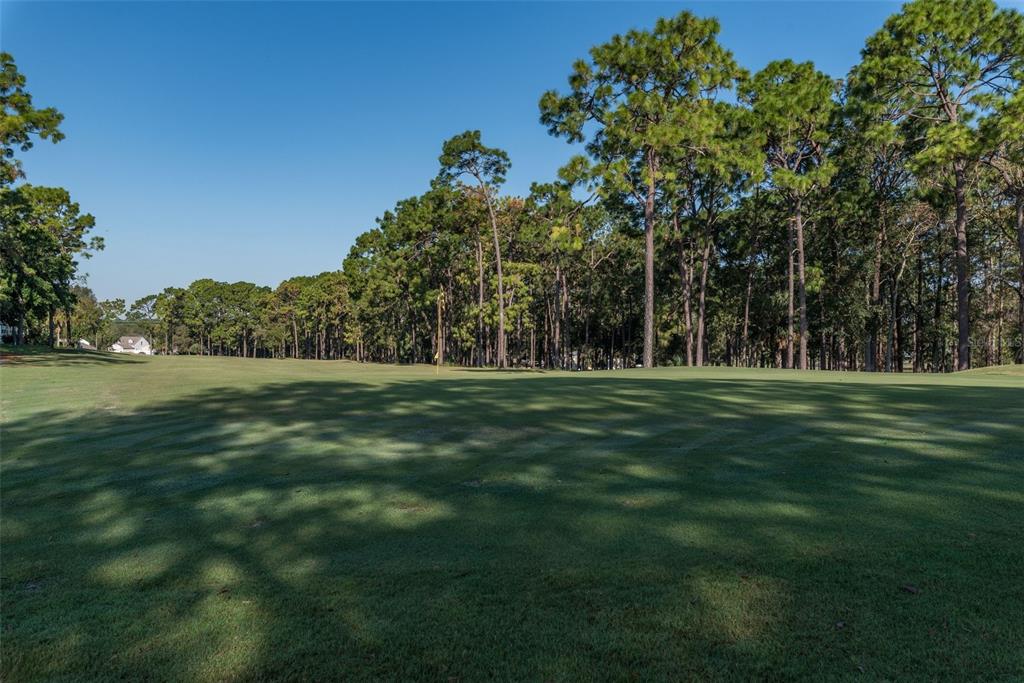 14751 Brookridge Boulevard Brooksville, FL 34613 - Photo 50 of 61 a view of grassy field with benches