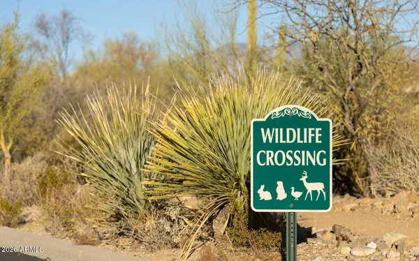 $445,000 | 3630 North Raven Wash Drive, Tucson, AZ 85745