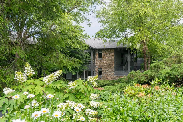 a view of a garden with plants